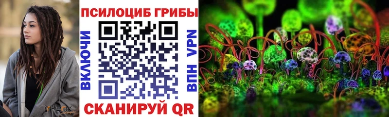 Галлюциногенные грибы ЛСД  Зима 