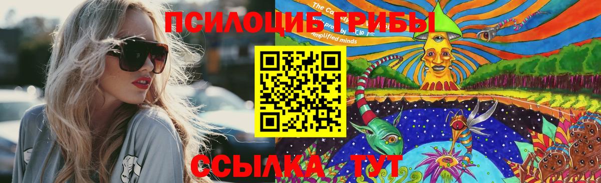 Псилоцибиновые грибы прущие грибы Зима
